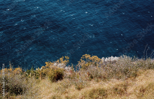 Fototapeta Naklejka Na Ścianę i Meble -  Ocean coast background with copy space, summer nature aesthetic