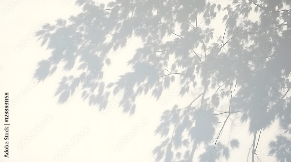 Abstract shadows of natural leaves on white wall. Abstract shadows of natural leaves on white wall.