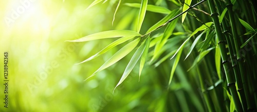 Close-up of green bamboo leaves with soft sunlight background and blurred greenery, suitable for nature and tranquility themes, Copy Space
