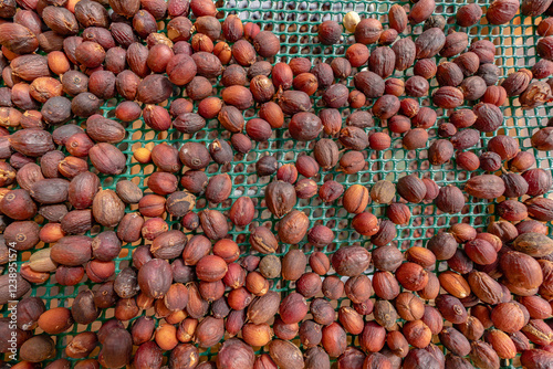 A large pile of coffee nuts are spread out on a green mesh.