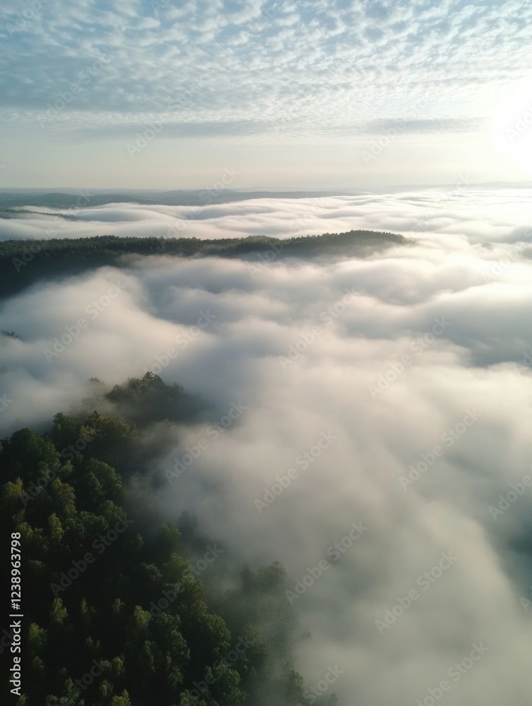 Obraz premium Misty Mountain View