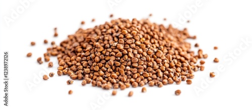 Pile of brown seeds isolated on white background suitable for organic farming or gardening with Copy Space