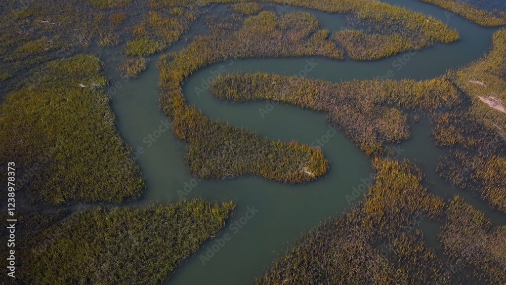 Fototapeta premium Natural salt water tidal marsh beside the ocean at Pawleys Island, SC low country preserved for wildlife and preventing coastal erosion during storms