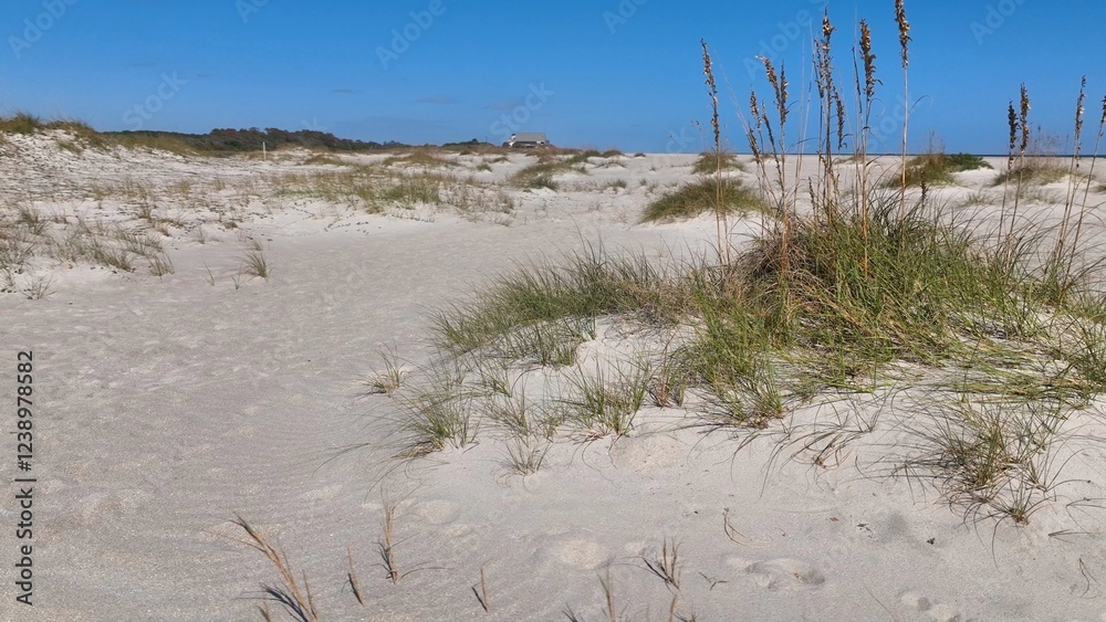 Beach sand with sea oats growing on South Carolina coastal shoreline at Pawleys Island, SC destination for tourist for relaxing under warm sunshine and enjoying quiet beach walks by the ocean Beach sand with sea oats growing on South Carolina coastal shoreline at Pawleys Island, SC destination for tourist for relaxing under warm sunshine and enjoying quiet beach walks by the ocean