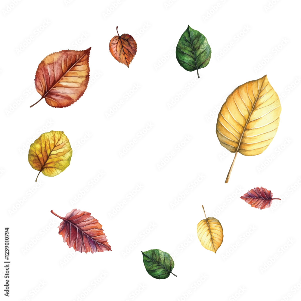 Fototapeta premium Adobe Illustrator Artwork