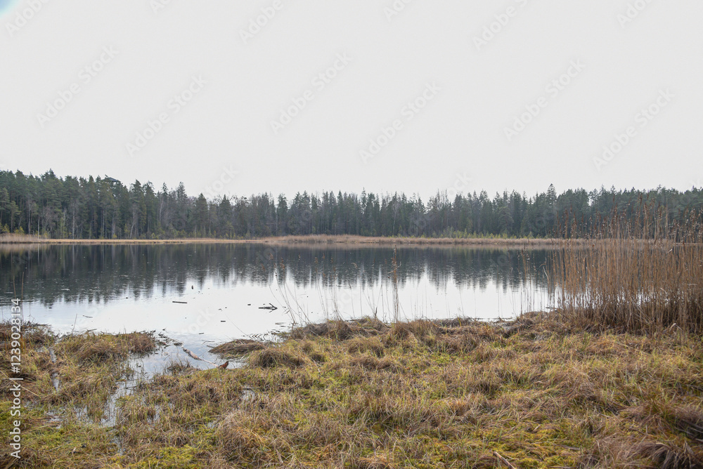 Lake landscape with sandy shores and a green forest in the distance under a cloudy sky on an autumn day. Lake landscape with sandy shores and a green forest in the distance under a cloudy sky on an autumn day.