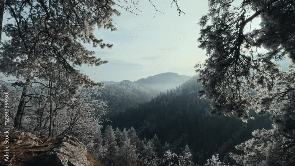 Wide angle view of a dreamy winter landscape in Slovakia Wide angle view of a dreamy winter landscape in Slovakia