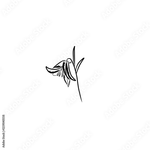 illustration of a leaf Bell flower or bluebell black stencil silhouette isolated on white. Hand drawn wildflower with stem and leaves. Vector clipart for floral illustration, screen printing, plotter 