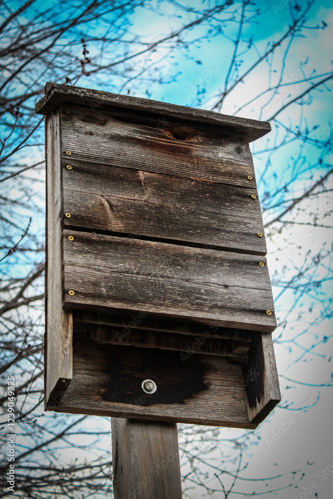 close-up of a weathered bat house against a beautiful sky with tree and cloudscape in the background wildlife environment nature scene close-up of a weathered bat house against a beautiful sky with tree and cloudscape in the background wildlife environment nature scene