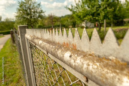 iron sharp fence in the garden