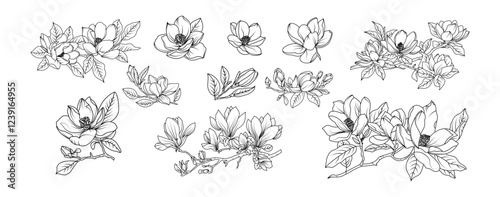 Magnolia flower arrangement line art on white background. Silhouette magnolia botanical hand drawn element for wedding, invitation frame design, vector illustration