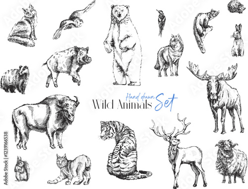 Photography Hand-Drawn Wild Animals Set vector