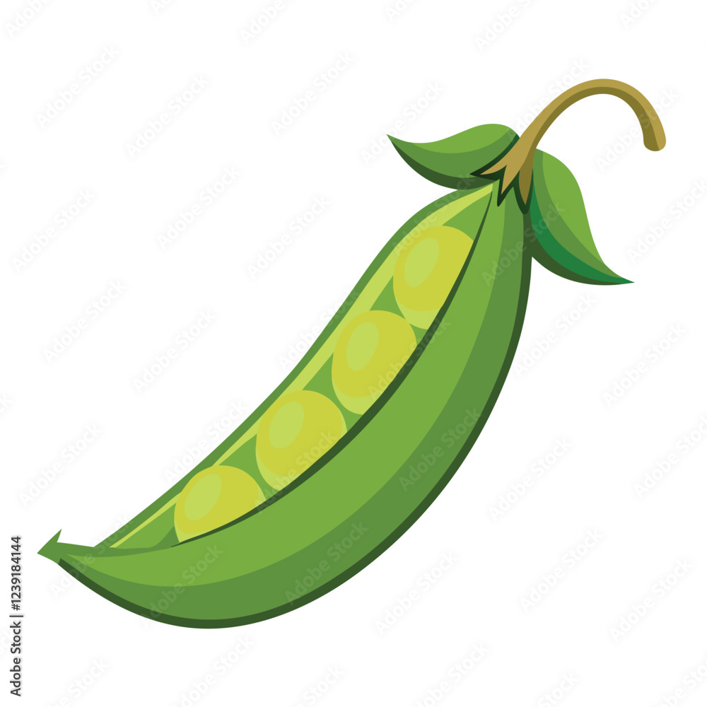 Pea Pod Vector Illustration - Cartoon Clipart & Line Art Design for Print.eps Pea Pod Vector Illustration - Cartoon Clipart & Line Art Design for Print.eps