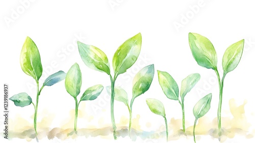 Watercolor Painting of Young Green Plants Growing