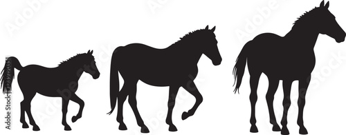 Set of horse silhouettes