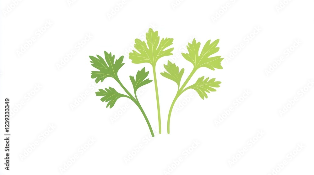 Fresh parsley sprigs on white background, cooking ingredient Fresh parsley sprigs on white background, cooking ingredient