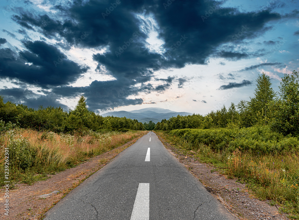 A lonely road stretches into the distance, surrounded by lush greenery and dramatic storm clouds looming above.
