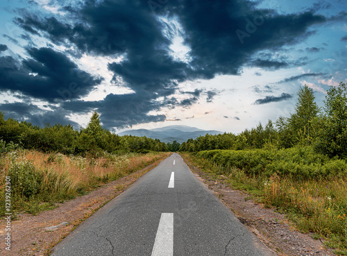 Obraz na płótnie A lonely road stretches into the distance, surrounded by lush greenery and dramatic storm clouds looming above. w salonie