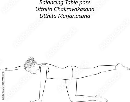 Sketch of young woman practicing Utthita Chakravakasana yoga pose. Balancing Table pose or Ruddy Goose pose. Isolated vector illustration.