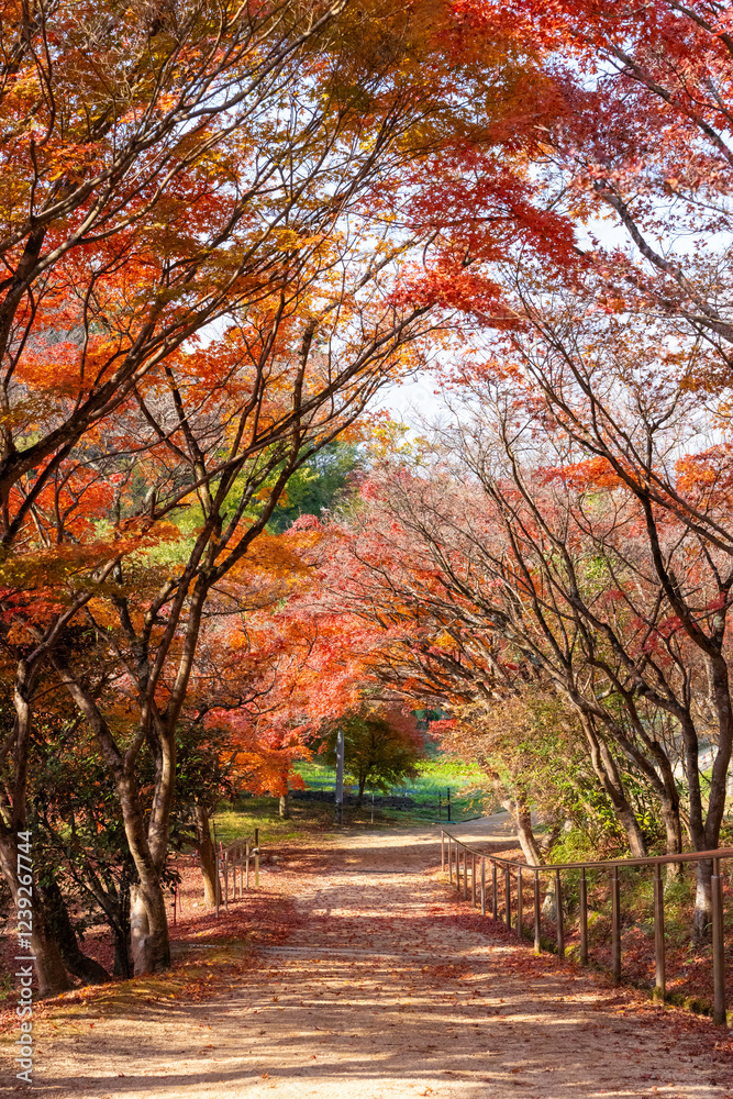 Naklejka premium 【岡山県岡山市】龍泉寺