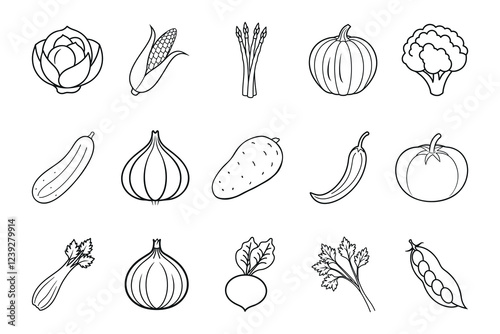 Set of vegetables icons. Collection of various vegetables. Outline illustrations of various vegetables. Various types of vegetable line art vector illustration icon set isolated on white background.
