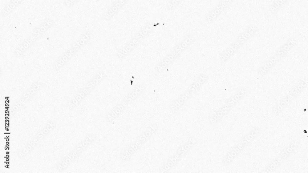 Vintage film scan with dust and noise texture