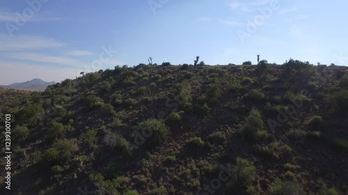 South Africa mountain range