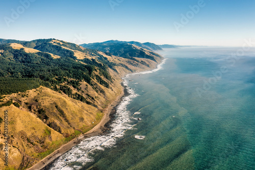 Drone view of cliffs and ocean at the Lost Coast in Northern California, USA. 