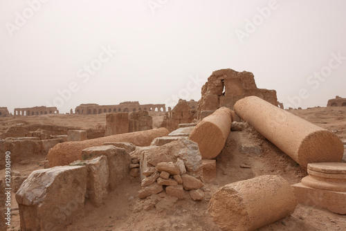 Syria ruins of Resafa on a cloudy spring day photo