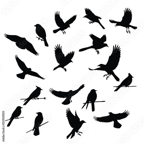 A collection of black silhouette illustrations of different types of birds, both in flight and perched on branches
