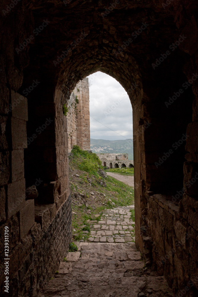 Obraz premium Syria Krak des Chevaliers castle on a cloudy summer day