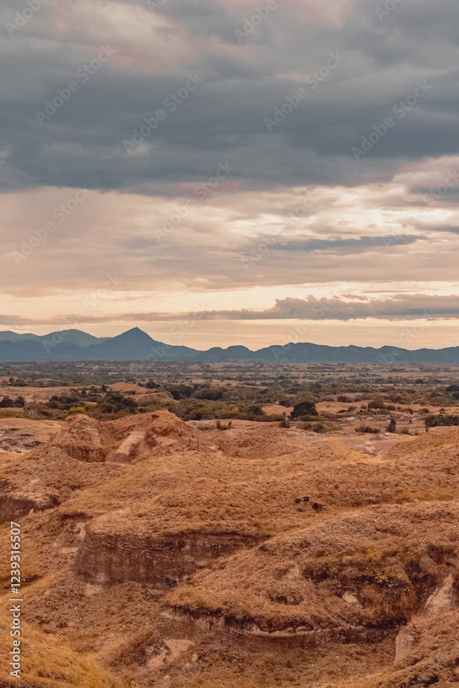 Vertical panorama of the Tatacoa desert with a morning light. Dunes, bushes, sand, dry arid earth, cactus, clouds, sunset in the horizon. Villavieja, Huila, Colombia, Vertical panorama of the Tatacoa desert with a morning light. Dunes, bushes, sand, dry arid earth, cactus, clouds, sunset in the horizon. Villavieja, Huila, Colombia,
