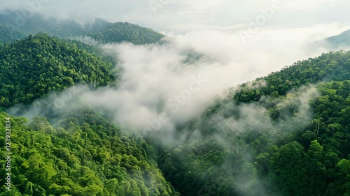 Aerial view of lush green mountains covered in mist, depicting a serene landscape with dense forests and rolling hills.