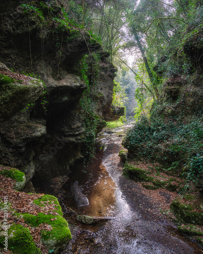 Natural canyons (forre), streams and waterfalls near the village of Gallese, in the Province of Viterbo, Lazio, Italy.