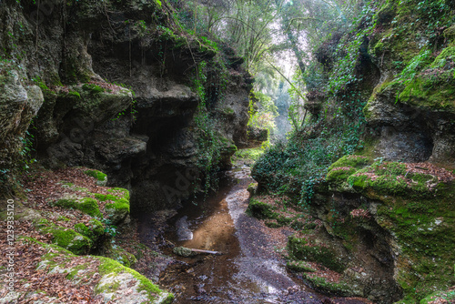 Natural canyons (forre), streams and waterfalls near the village of Gallese, in the Province of Viterbo, Lazio, Italy.