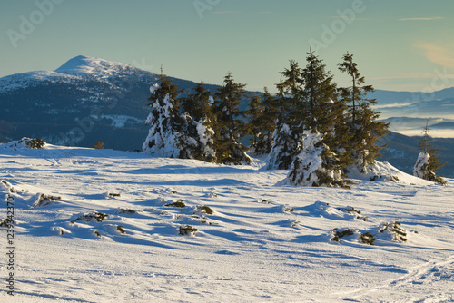 Fototapeta Naklejka Na Ścianę i Meble -  Babia Góra widok z Pilska