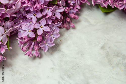 Spring feminine scene, floral composition. Decorative banner, corner made of beautiful purple lilac flowers. White table background.