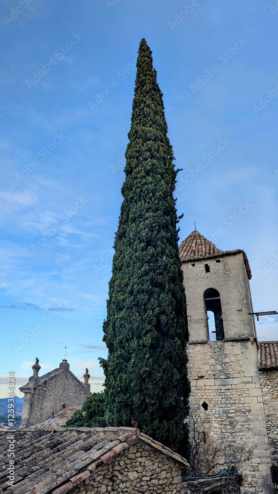 VAISON-LA-ROMAINE (Vaucluse)