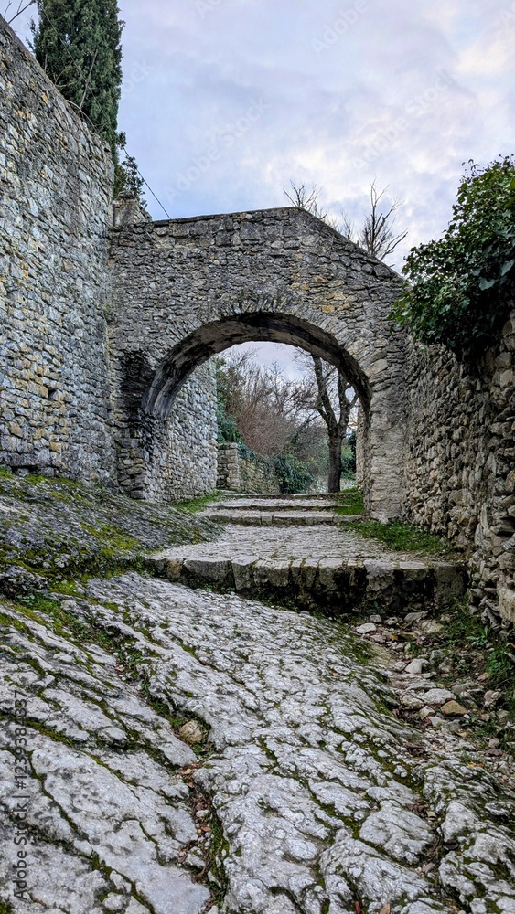 VAISON-LA-ROMAINE (Vaucluse)
