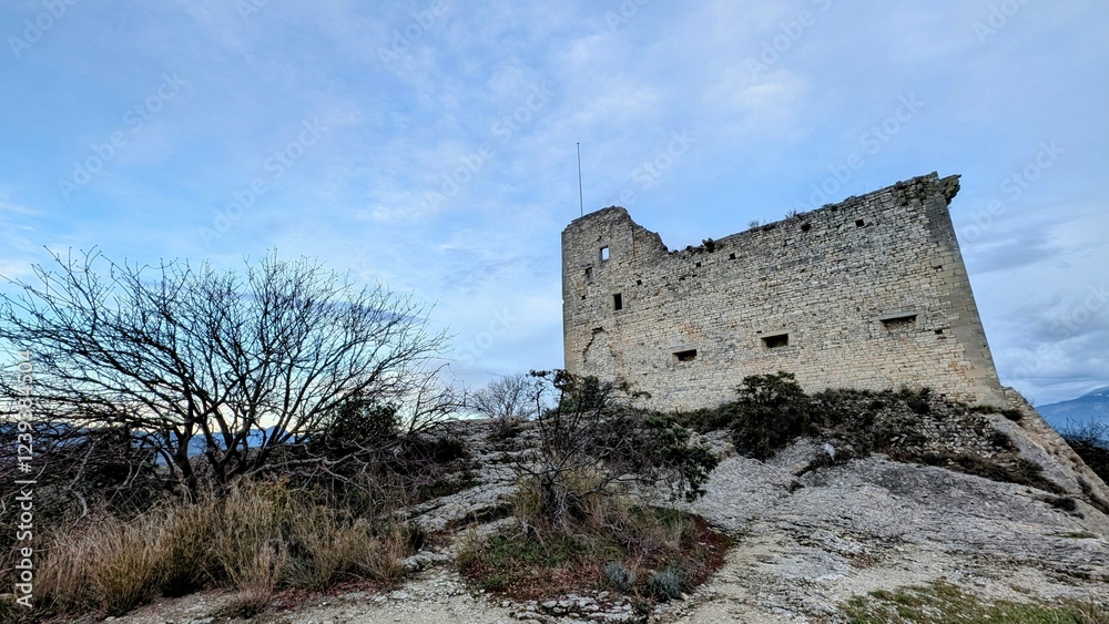 VAISON-LA-ROMAINE (Vaucluse)