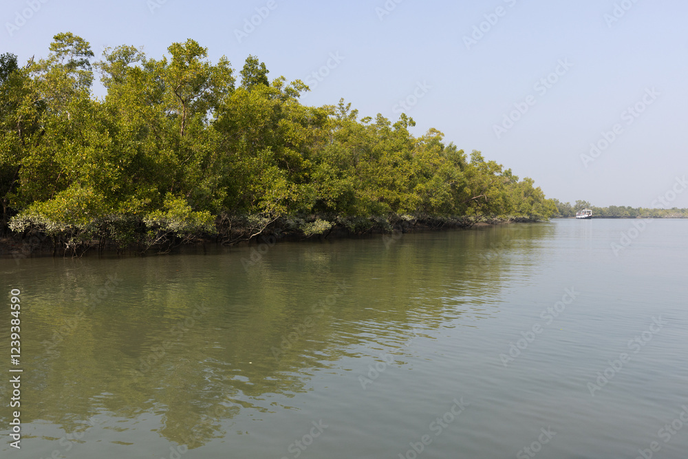 Fototapeta premium Tourists enjoying game drive on Safari boat at Sundarban Tiger Reserve, West Bengal, India