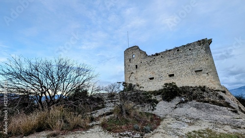 VAISON-LA-ROMAINE (Vaucluse)