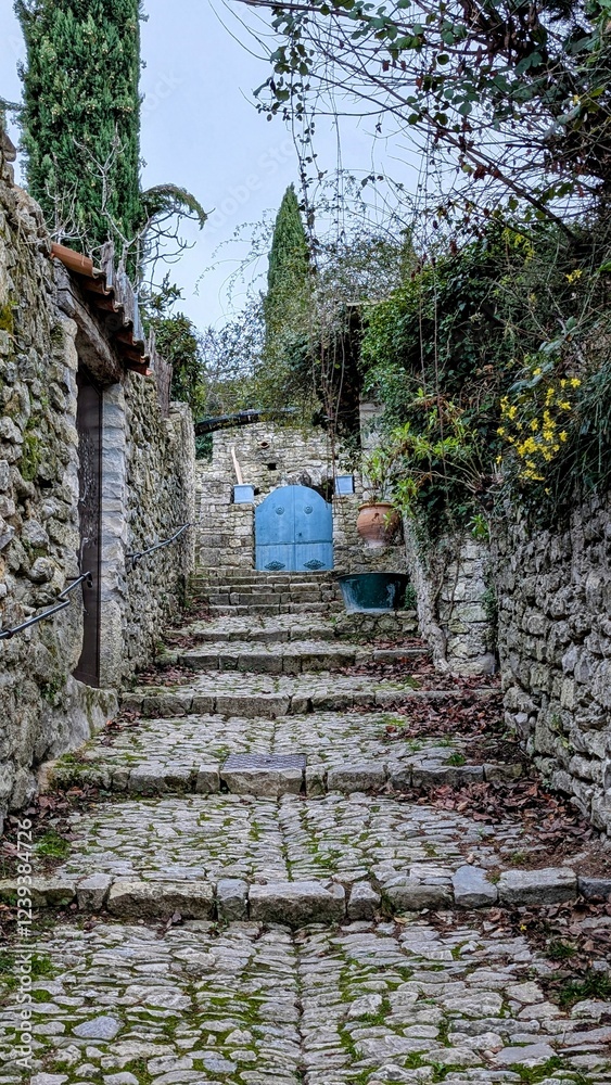 VAISON-LA-ROMAINE (Vaucluse)