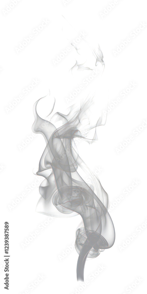 Fototapeta premium PNG White smoke background black black background.