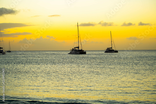 Fototapeta Naklejka Na Ścianę i Meble -  sea, Caribbean island, island life, Caribbean Sea , Caribbean beach