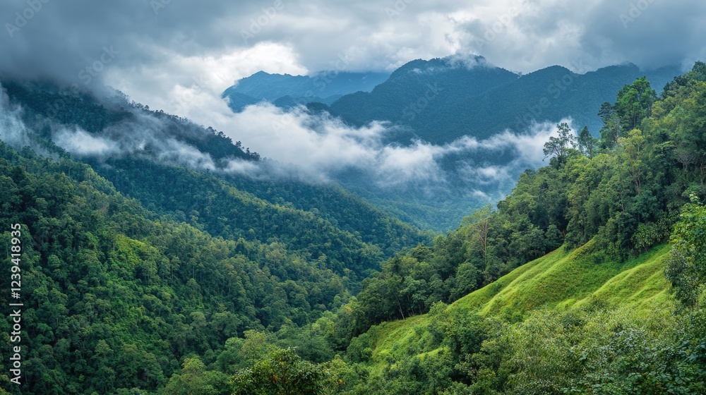 Fototapeta premium A stunning aerial view of a vast Amazon rainforest landscape, featuring dense vegetation, towering mountains, and a misty valley in the heart of the jungle.