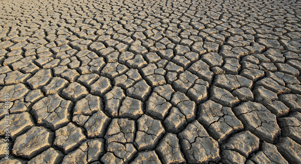 Dried cracked earth with deep fissures forming an intricate natural pattern