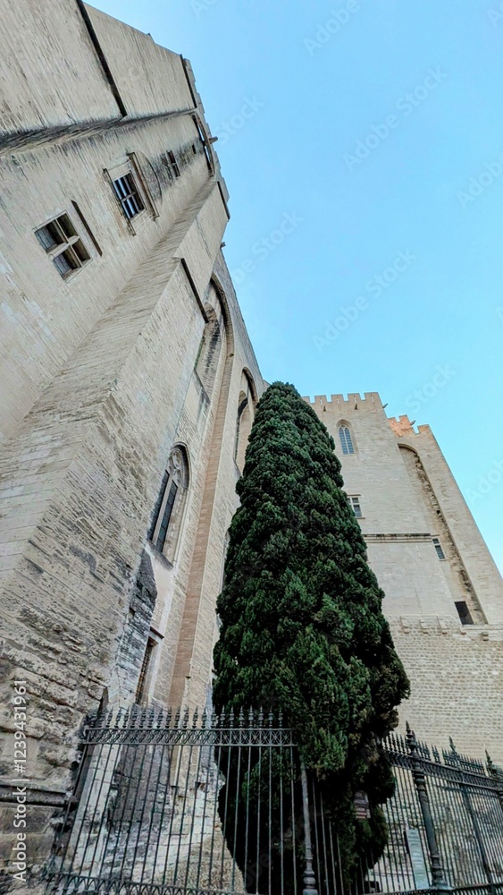 AVIGNON (Vaucluse)