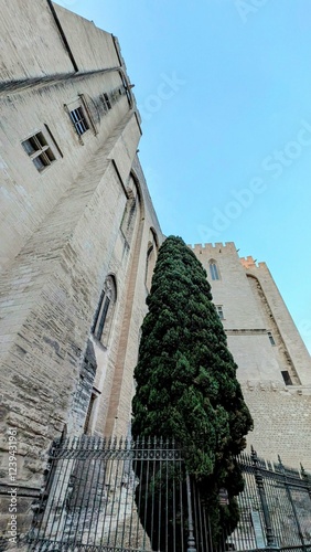 Obraz na płótnie AVIGNON (Vaucluse) w salonie