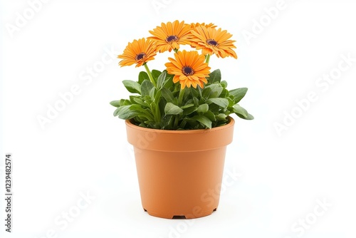 Wallpaper Mural Small orange flower pot with a single flower in it Torontodigital.ca